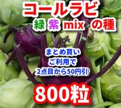 コールラビ緑紫mixの種【800粒】⭕️のサムネイル