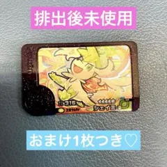 ポケモン　フレンダ　ベストタッグ4 シェイミ　スーパートレジャー　おまけつき♡