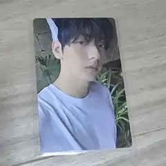 txt スビン　トレカ