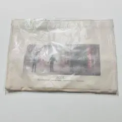 小沢健二 月と街のAidade ツアーグッズ カローラⅡトートバッグ - メルカリ