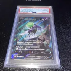 2026年最新】こくばバドレックスv sr psa10の人気アイテム - メルカリ