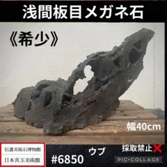 6986 浅間板目メガネ石 ウブ 溶岩 盆栽 付石 庭石 自然石 山 - メルカリ