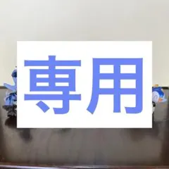 専用 ※1点難あり ポケモン 予約特典フィギュアセット ディアルガ ギラティナ