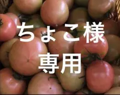 ちょこ様　専用