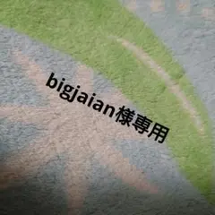 【bigjaian様専用】CONVERSE ネルシャツ ネイビー系　3L