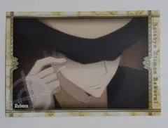 家庭教師ヒットマンreborn リボーン ブロマイド②