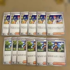 タケシのスカウト アカマツ　まとめ売り