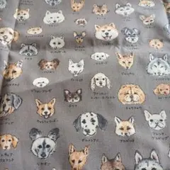 犬　図鑑　きつね　たぬき　生地　オックス　チャコール　55×25