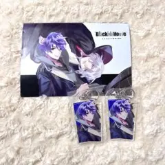 Blackish House ←sideZ ステラセット 特典小冊子 桜坂悠翔 2025年最新】blackish house 小冊子の人気アイテム - メルカリ