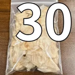 2025年最新】ウェルウィッチアの人気アイテム - メルカリ