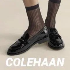 Item thumbnail for item b2c41cd3-81fb-463f-b356-98f46ec71492