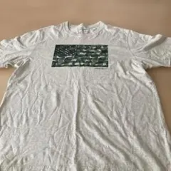 エディーバウアー　Tシャツ　XL ①のサムネイル