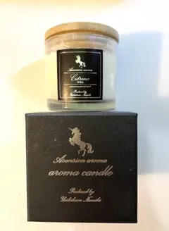 並木良和 アセンションアロマキャンドル【具現化】