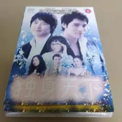 韓国ドラマ 独身天下 DVD 全7巻　ユン・サンヒョン　カン・ジソプ