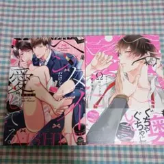 けいちゃん様専用　BL　2冊