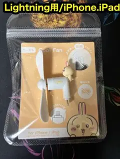 Item thumbnail for item 8864f2bf-3138-4b8b-9ba4-4880d67849cb