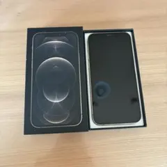 香港版 iPhone 12 Pro Max 256GB 箱有り シャッター音無し - メルカリ