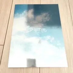 少年たち あの空を見上げて パンフレット HiHi Jets 美少年