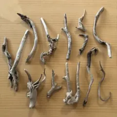 Item thumbnail for item ead2669b-ff9e-4287-9e0a-c2014fdc55ed