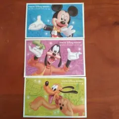 東京ディズニーランド 1デイパスポート 3枚セット使用済み