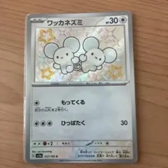 ポケモンカード ワッカネズミ S 317/190