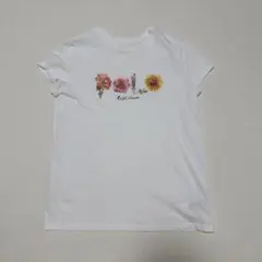 Item thumbnail for item 9f69c478-18ac-4686-8b9b-fba43994189b