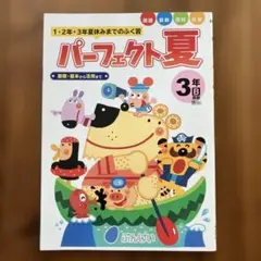 パーフェクト夏3年　ぶんけいのサムネイル