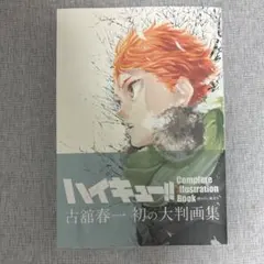 ハイキュー!! 完全イラスト集