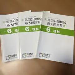2025年最新】馬渕 公開模試 過去問 小6の人気アイテム - メルカリ