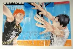 ハイキュー!! 影山 日向 アドラーズ ステッカー ジャンプショップ