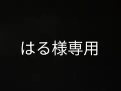 はる様専用