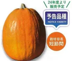 Mac様 リクエスト 4点 まとめ商品