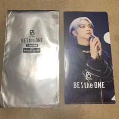 映画BE:theONE 入場特典  第3弾チケットファイル JUNON