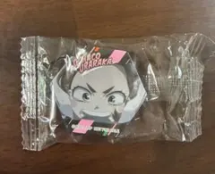 僕のヒーローアカデミア マグネットシート