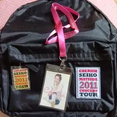 松田聖子　コンサート　ライブ　グッズ　似顔絵　パスケース　チケット入れ m49936812453_1.jpg?1724639610