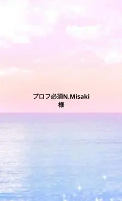 プロフ必須N.Misaki様専用ページ　ヘアゴムエクステ　ツインテール