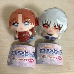 ぴちぴちピッチ かぷっこふれんず シェシェ ミミ
