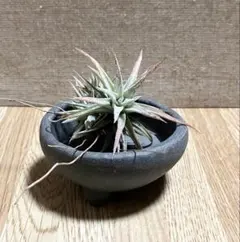 norichan_kumachan様 リクエスト 10点 まとめ商品