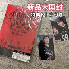 StrayKids スンミン C賞 dominate フラッグ 直筆サイン入り - メルカリ