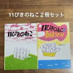 Item thumbnail for item dc03c70d-6be6-4b79-bae8-9714a4be89cd