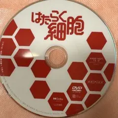 映画　はたらく細胞　 DVD 劇場版　実写版　佐藤健　永野芽郁