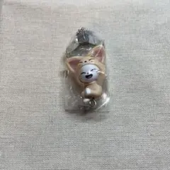 Straykids SKZOOつまんでつなげてますこっと ボールチェーンver.