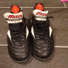 Item thumbnail for item 9153c44b-2dd0-4aa0-ad87-7412e3fe5fbc