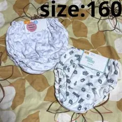 Item thumbnail for item 03617a0f-09c3-495b-b978-c0c78602fb58