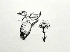 Item thumbnail for item 2ca438a3-3e3d-4eb4-980a-3c77b0ca2286