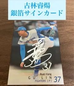 古林睿煬　ファイターズBBMカード　限定10枚　treasureカード 古林睿煬 ファイターズBBMカード 限定10枚 treasureカード