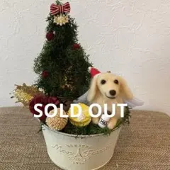 クリスマスアレンジ&ダックスちゃん