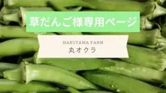 草だんご様専用ページ