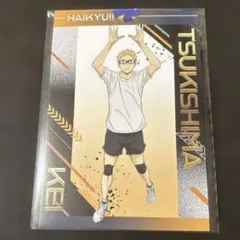 ハイキュー!!アニメイトフェア ポストカード 月島蛍
