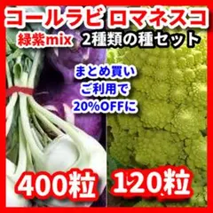 みみりん様 リクエスト 2点 まとめ商品